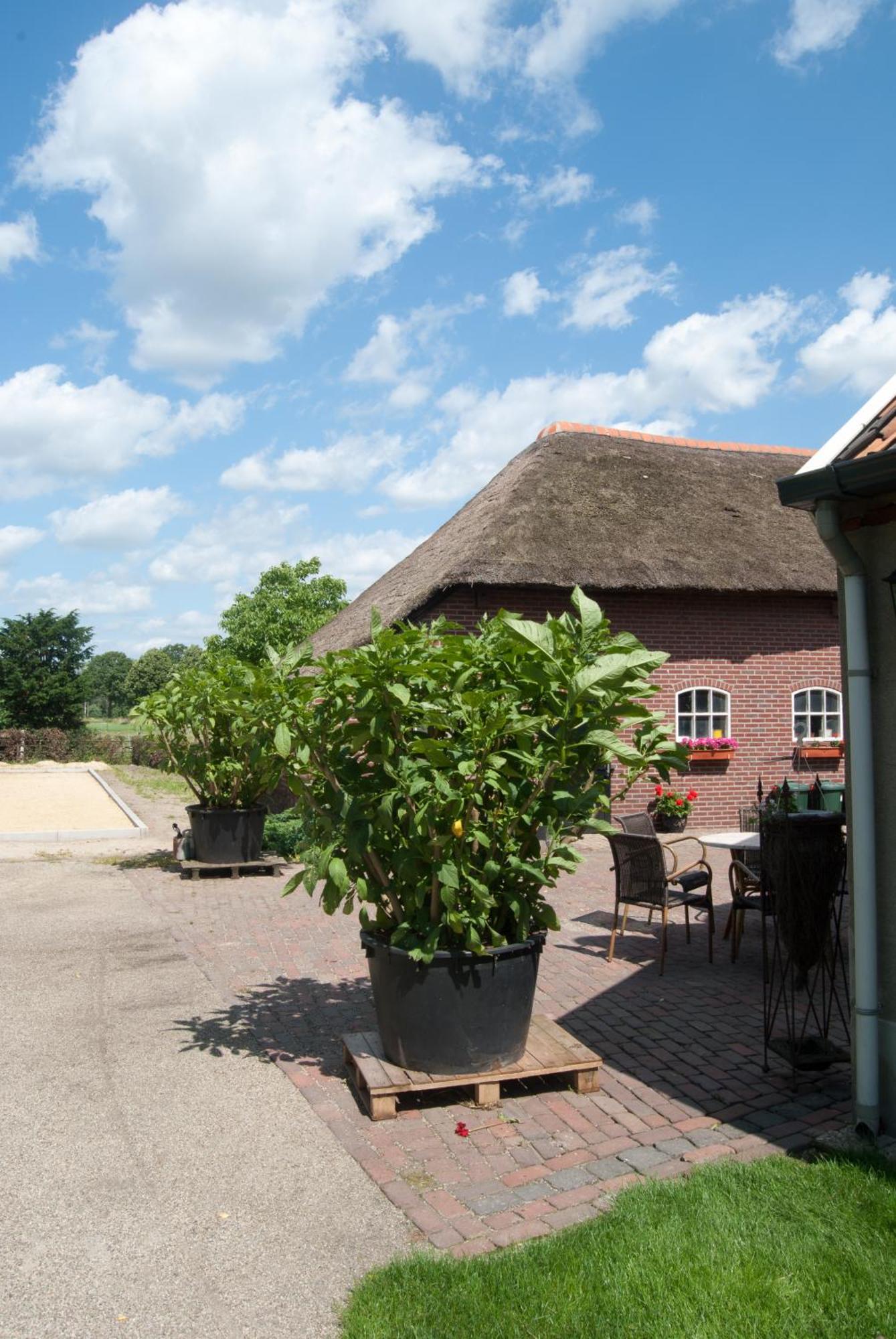 De Martiene Plats - Bed & Breakfast Merselo Luaran gambar